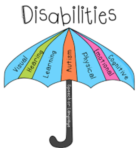 Individuals with Disabilities Education Act IDEA