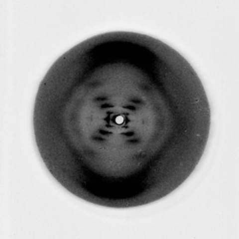 Rosalind Franklin works with DNA and X-Ray crystallography and develops “Image 51”