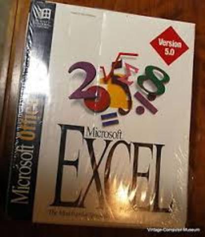 Excel 5.0