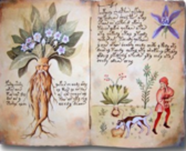 reino vegetal-edad media