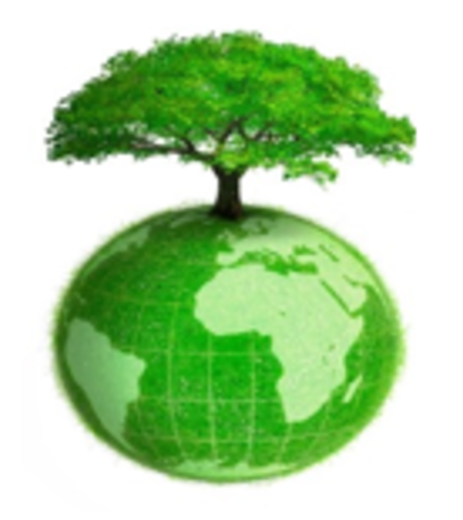 reino vegetal.siglo xx