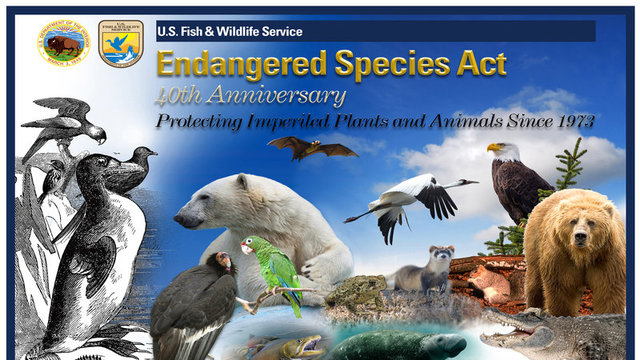 endangered species act