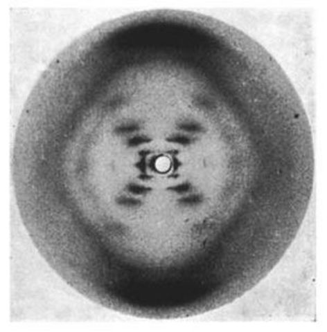 Rosalind Franklin Image 51