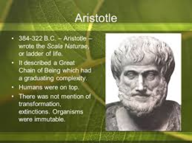 Aristotle describes life with the  Scala Naturae