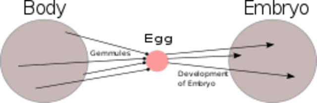 Lamarck develops Hypothesis of evolution by means of acquired characteristics