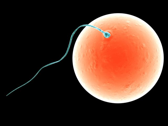 CRISPr/CAS 9 is identified and described