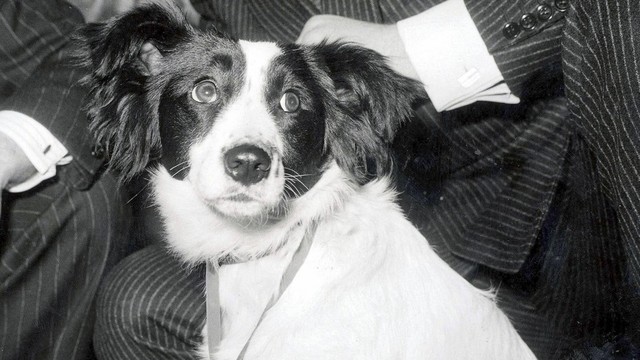 Fatos Históricos de 1966