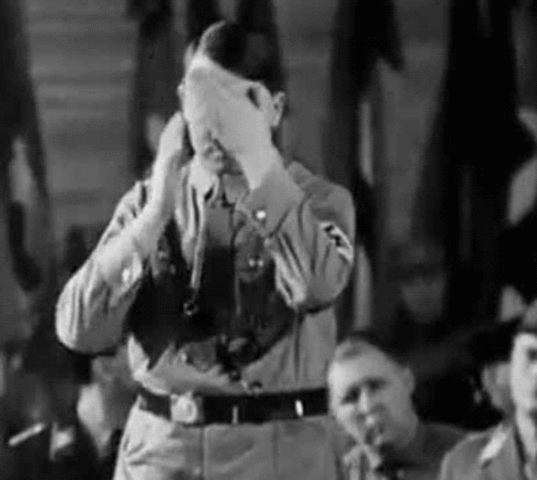 Hitler's rise to power