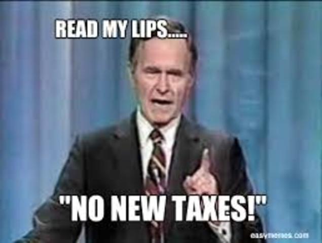 ¨Read my lips, no new taxes.¨