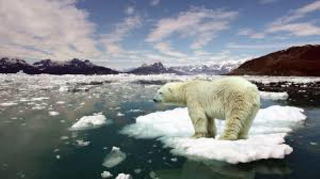 Climate Change Findings Coming Out