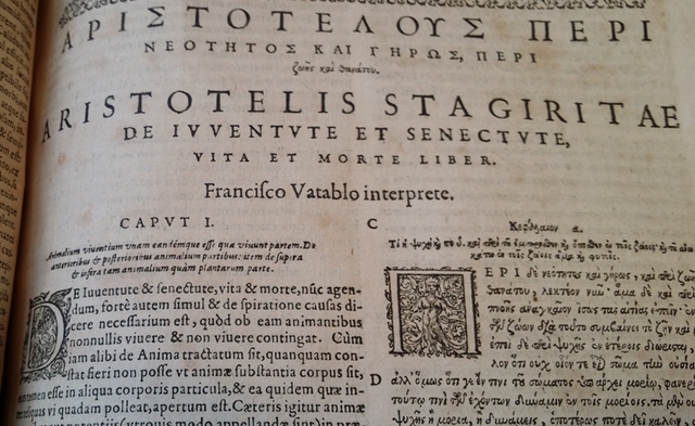 1200 - Traducción de textos al latín