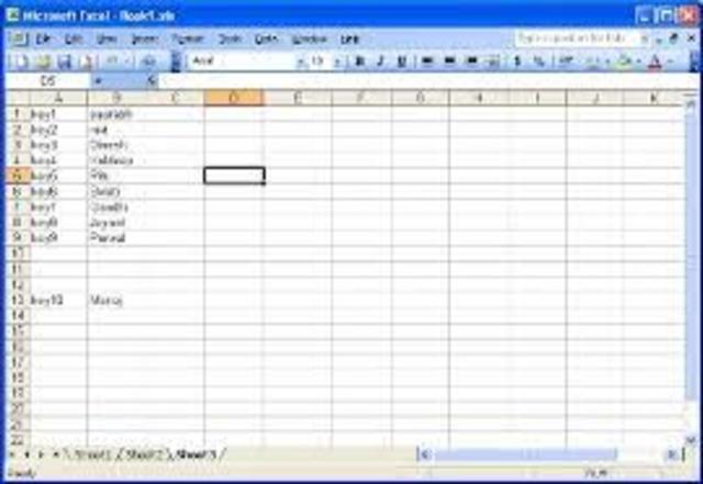 Excel 11.0