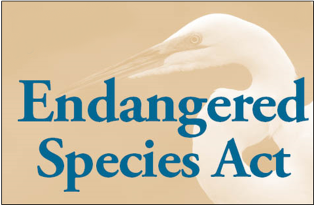 1970s:" Endangered Species Act"