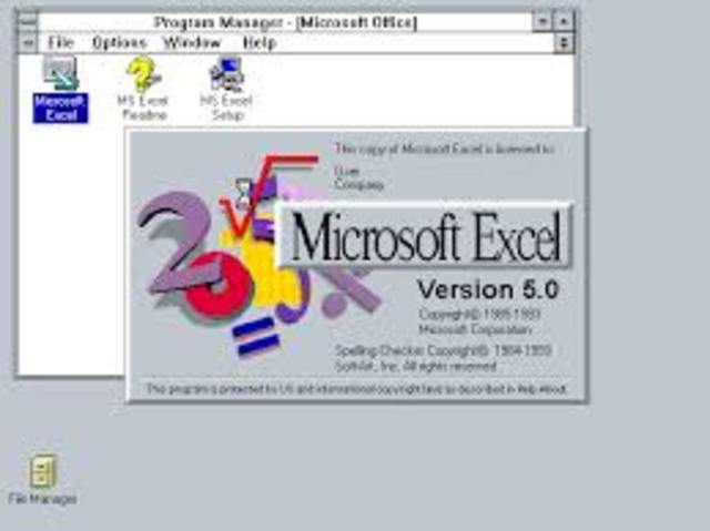 Excel 5.0