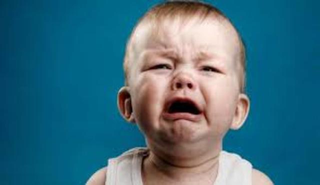 Teoría del Apego- Desarrollo social