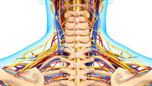 Investigaciones científicas.