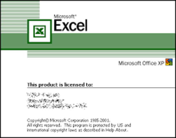 Excel 10.0