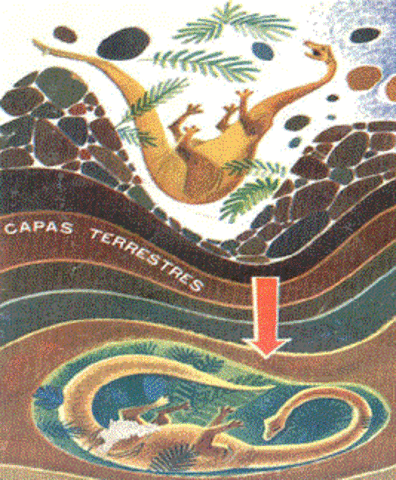 65 millones de años