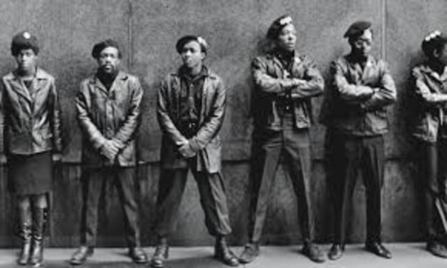 The Black Panthers
