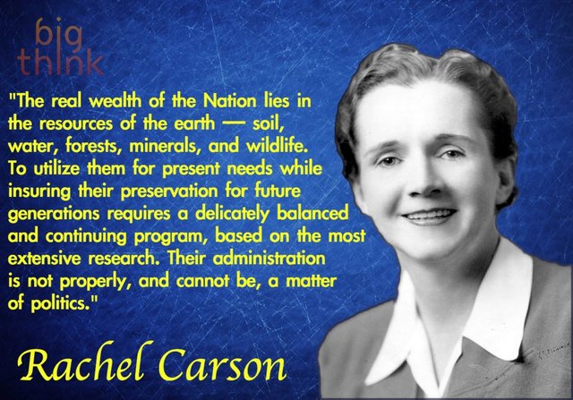 Movimientos ecologistas