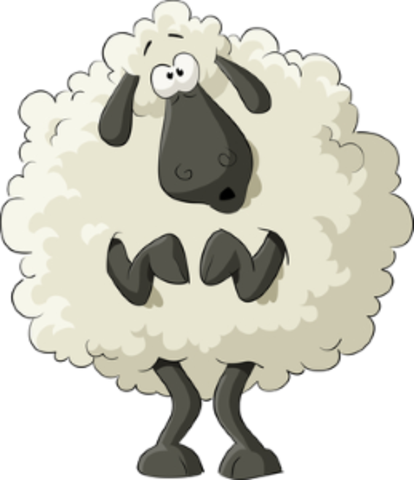 Sheepish