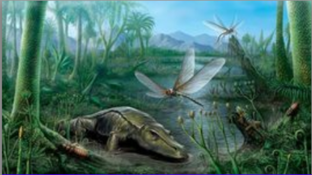 Periodo Carbonífero