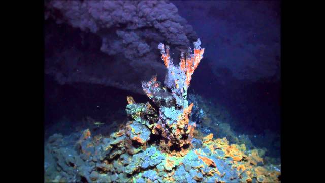 Deep sea hydrothermal vents and associated life around them are discovered