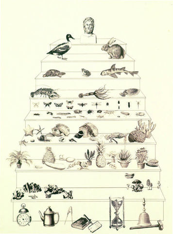 Aristotle describes life with sacla naturae