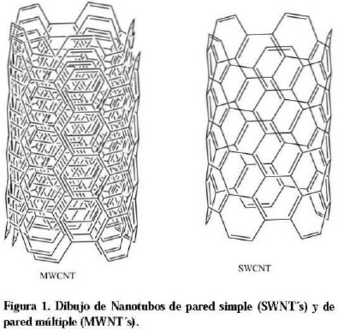 Nanotubos de carbono: funcionalización y aplicaciones biológicas