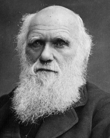 SIGLO XX: Jaccard y Gleason (Ecólogos)