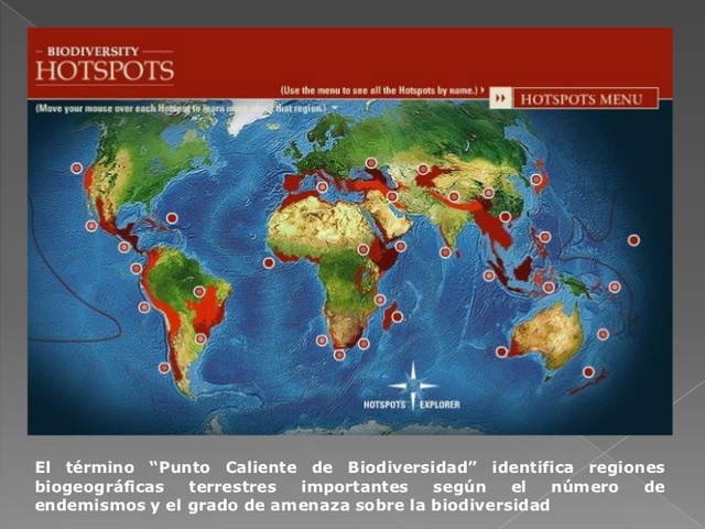 Primack, Rozzi, feinsinger, Dirzo, Massardo