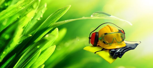 Seguridad y medio ambiente