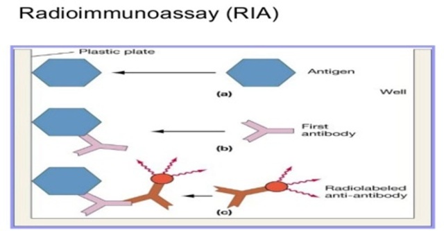Measuring Insulin in the Blood