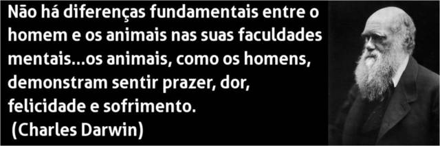 Ética no Naturalismo