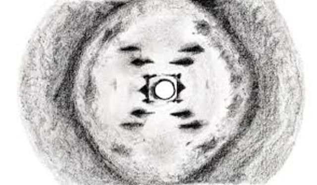 Rosalind Franklin “Image 51”