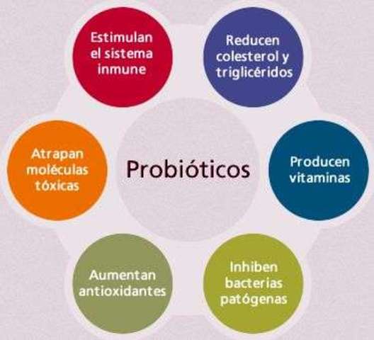 Importanciade los probioticos en el ser humano