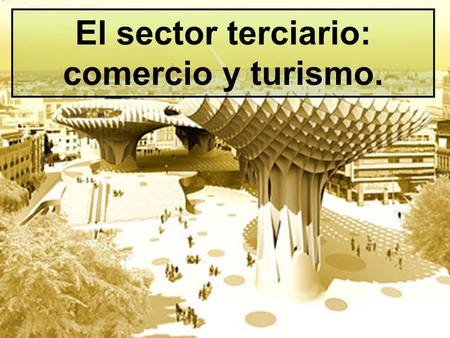 Sector Terciario