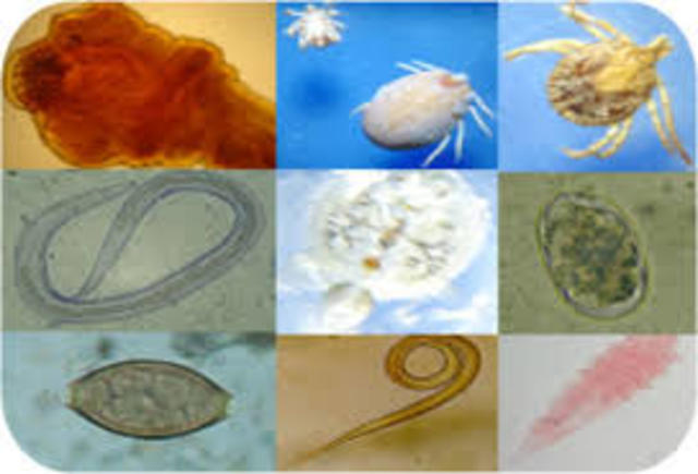 Historia de la Parasitología