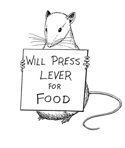 Behaviorism-Science and Human Behavior