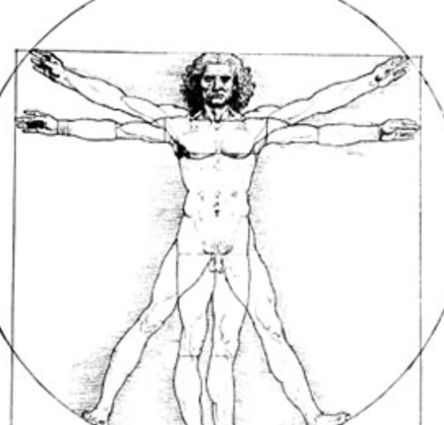 Human genome is fully sequenced