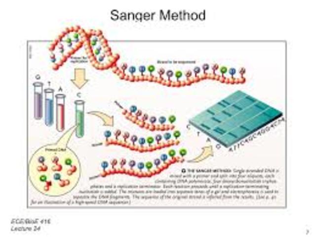 The Sanger Technique is developed