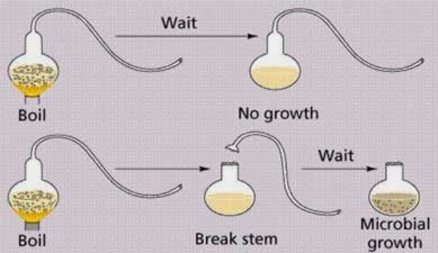 Louis Pasteaur refutes spontaneous generation