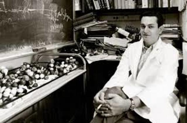 Nirenberg cracks the genetic code