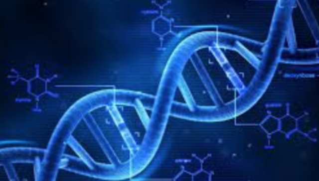 Avery, MacLoed and McCarty determine that DNA is the molecule that carries the genetic code