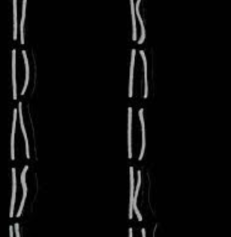 Frederick Griffith describes the process of transformation