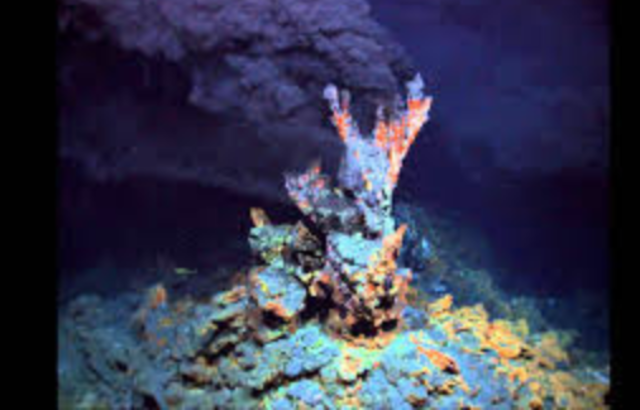 Deep sea hydrothermal vents and associated life around them are discovered