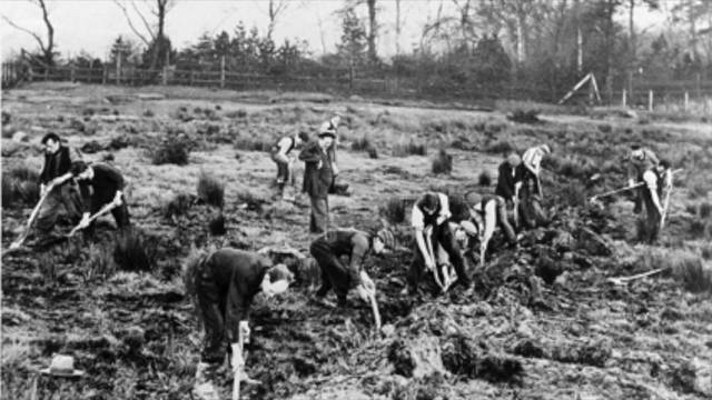 Agricultural Adjustment Act