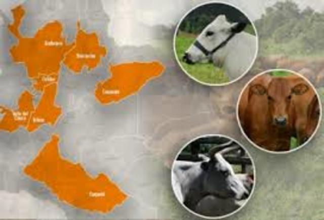 el ganado que pobló el medio oriente