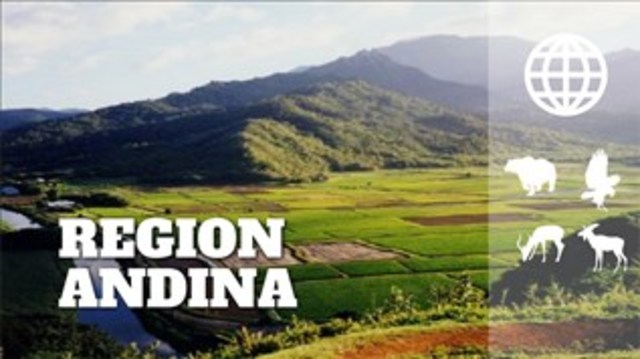 Región andina