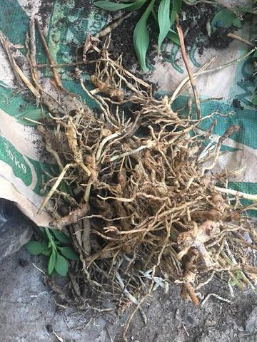 RECOLECCION DE MATERIALES